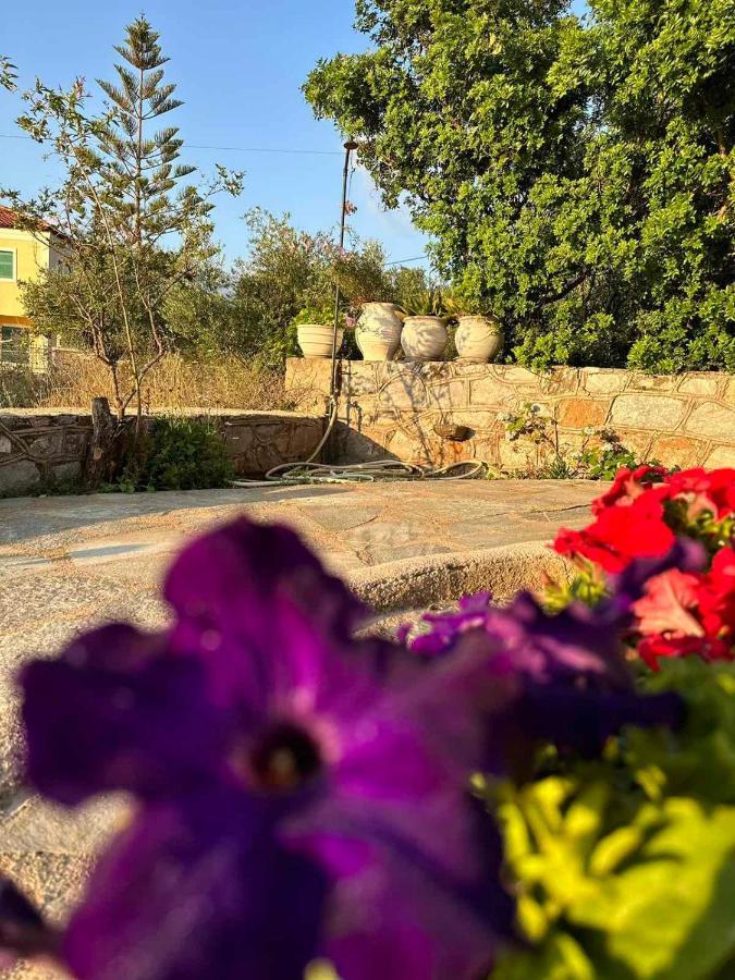 Σελήνη Daire Kotronion  Dış mekan fotoğraf